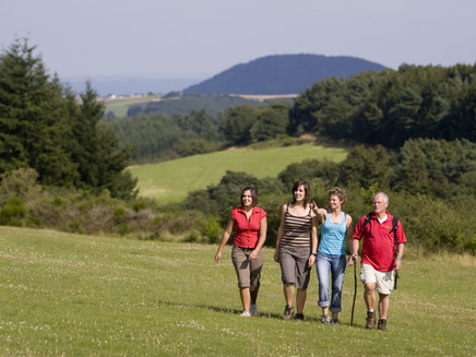 Along the Büschberg